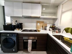 The Terrace (D19), Condominium #567446471
